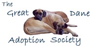 Great Dane Adoption Society